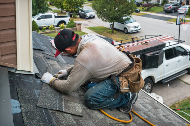 Professional Gutter Repair And Installation technician working in Hoffman Estates, IL